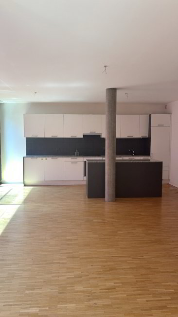 Appartement 5 pièces à louer à Genève - image 1/1