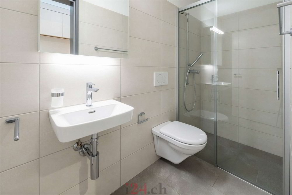 Appartamento di 4 locali in affitto a Schübelbach - immagine 1/10