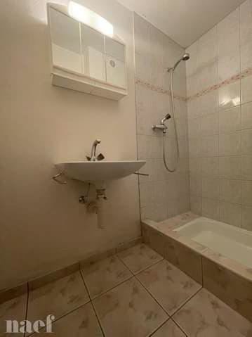 1 Zimmer Wohnung zu vermieten in Neuenburg - Bild 1/5