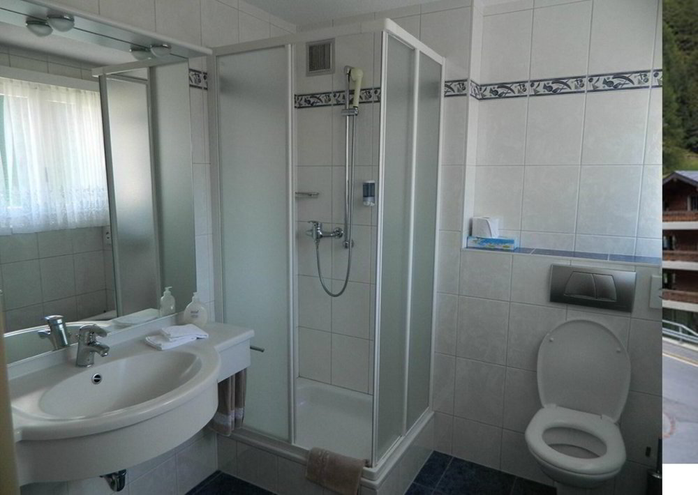 Hotel Alpha schöner Dreisternebetrieb in Saas-Grund. - Ansicht 4
