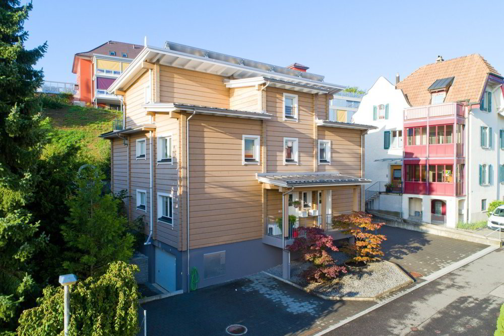 Appartement 2.5 pièces à louer à Wädenswil - image 1/8