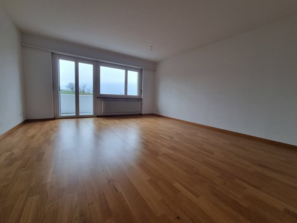 Appartement 4.5 pièces à louer à Port - image 1/5