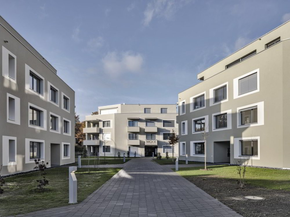 2.5 Zimmer Wohnung zu vermieten in Grenchen - Bild 1/16