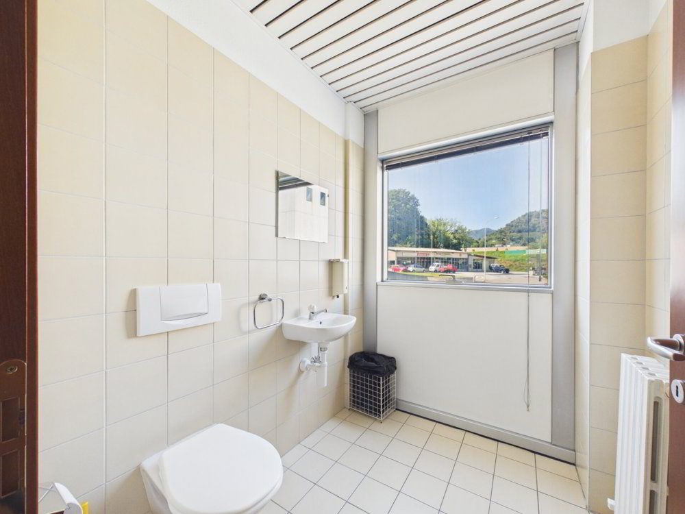3.5 rooms Office & Commercial for rent in Manno - image 1/9