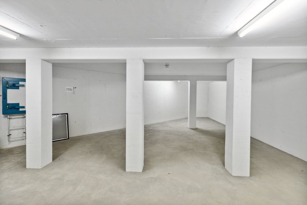 1 rooms Office & Commercial for rent in Gossau SG - image 1/4