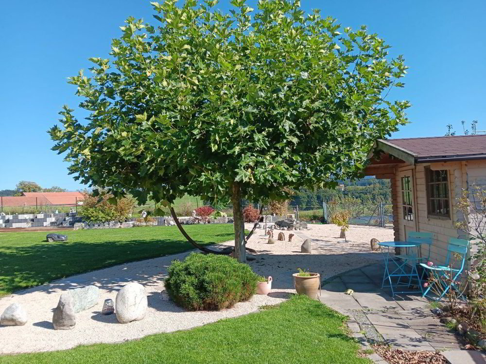 Casa di 5 locali in vendita a Mossel - immagine 1/11