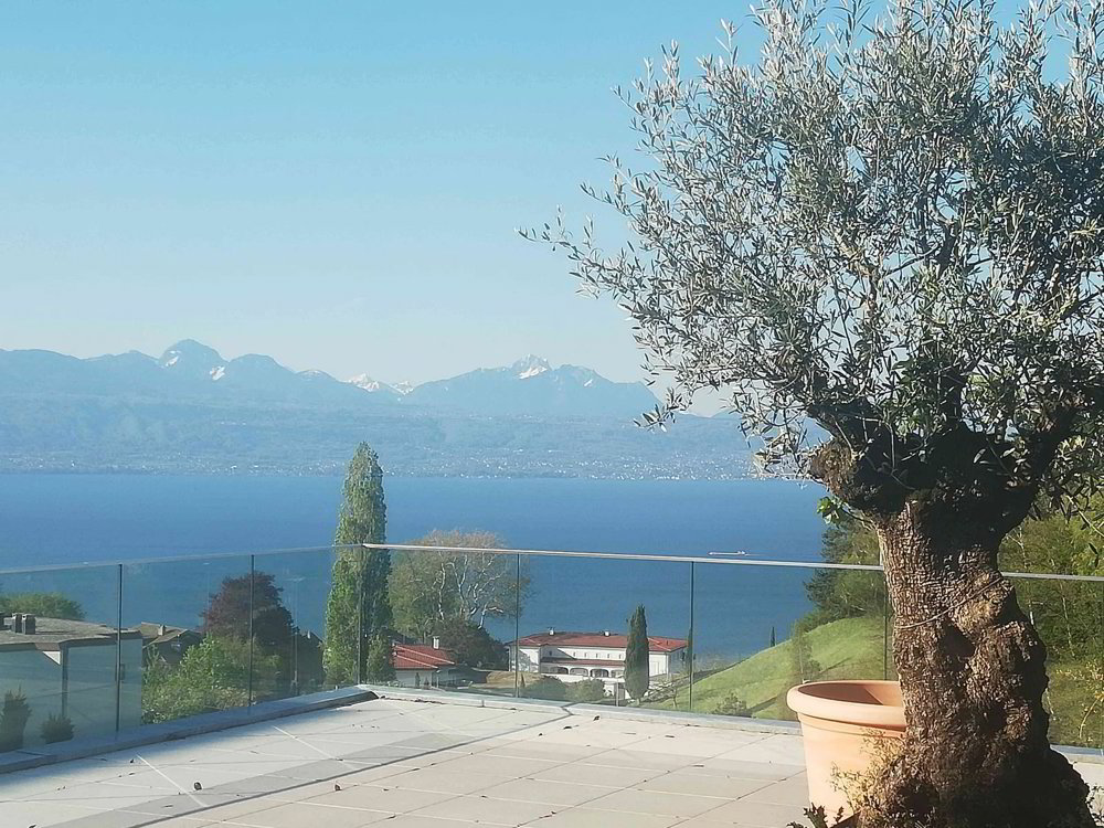Villa d'exception, 5-6.5 p, gde terrasse vue lac, à 100m gare & Migros - Ansicht 2