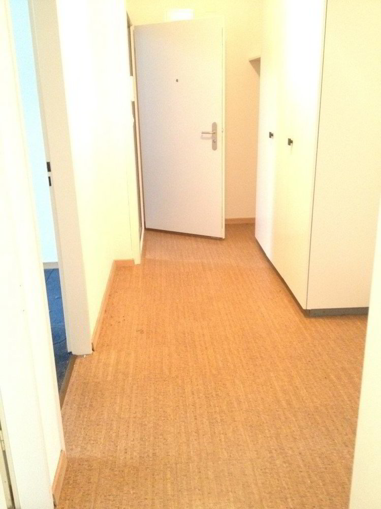 Appartamento di 3.5 locali in affitto a Ebmatingen - immagine 1/6