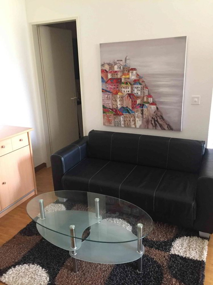 1.5 Zimmer Wohnung zu vermieten in Ginevra - Bild 1/8