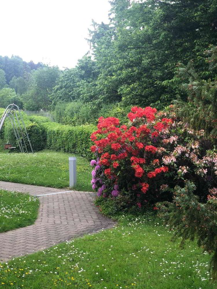 2.5 rooms Apartment for rent in Oberrieden - image 1/10