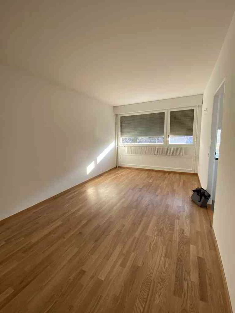 1 Zimmer Wohnung zu vermieten in Nyon - Bild 1/2