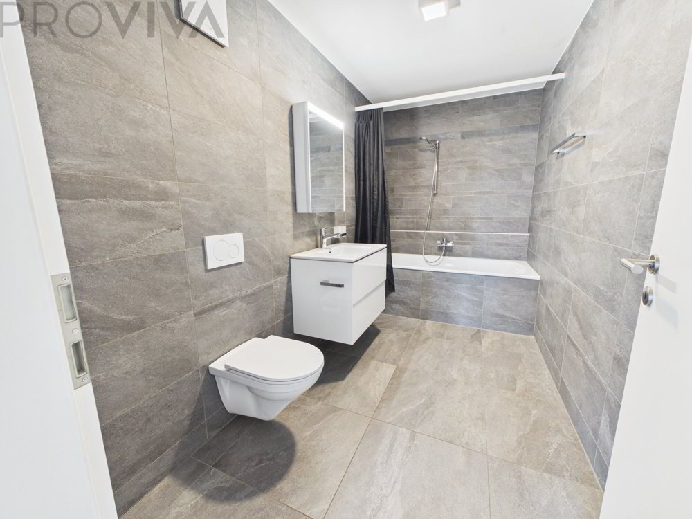 Appartement 1.5 pièces à louer à Champion - image 1/8