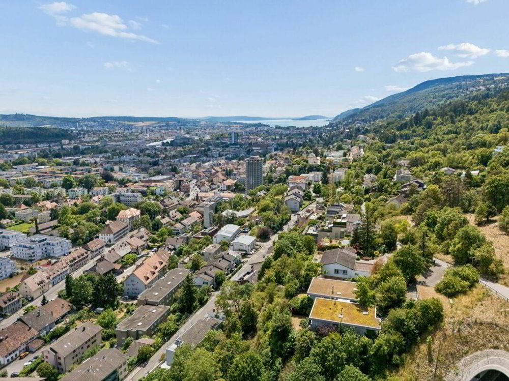 Maison 5.5 pièces à acheter à Bienne - image 1/13