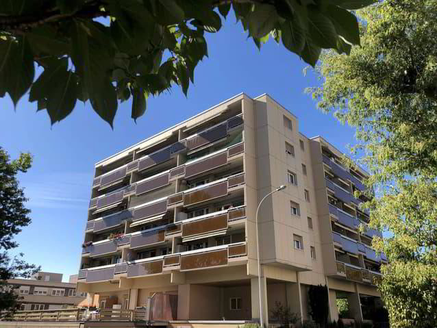 Appartamento di 3 locali in affitto a Lausanne - immagine 1/1