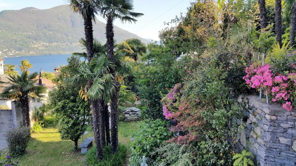 Haus – Brissago, Incella, Gadero - Ansicht 4