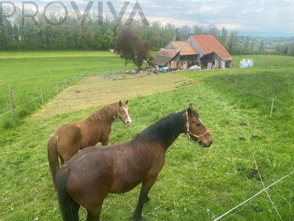 Haus – La Brillaz, Lovens