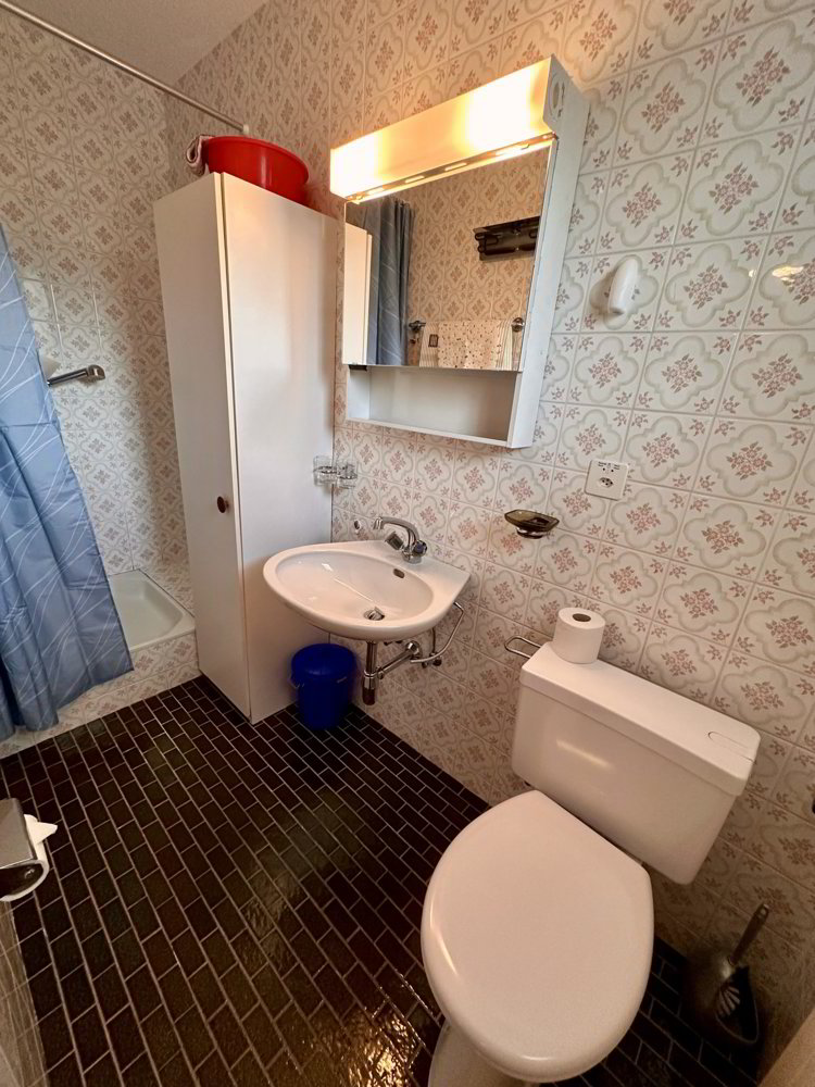 1 Zimmer Wohnung zu vermieten in Vercorin - Bild 1/6