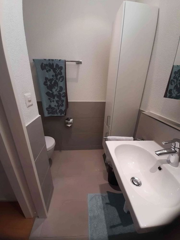 1 rooms Flat-sharing for rent in Basel - image 1/7