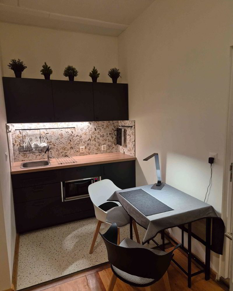 Appartamento di 1 locali in affitto a Bern - immagine 1/4