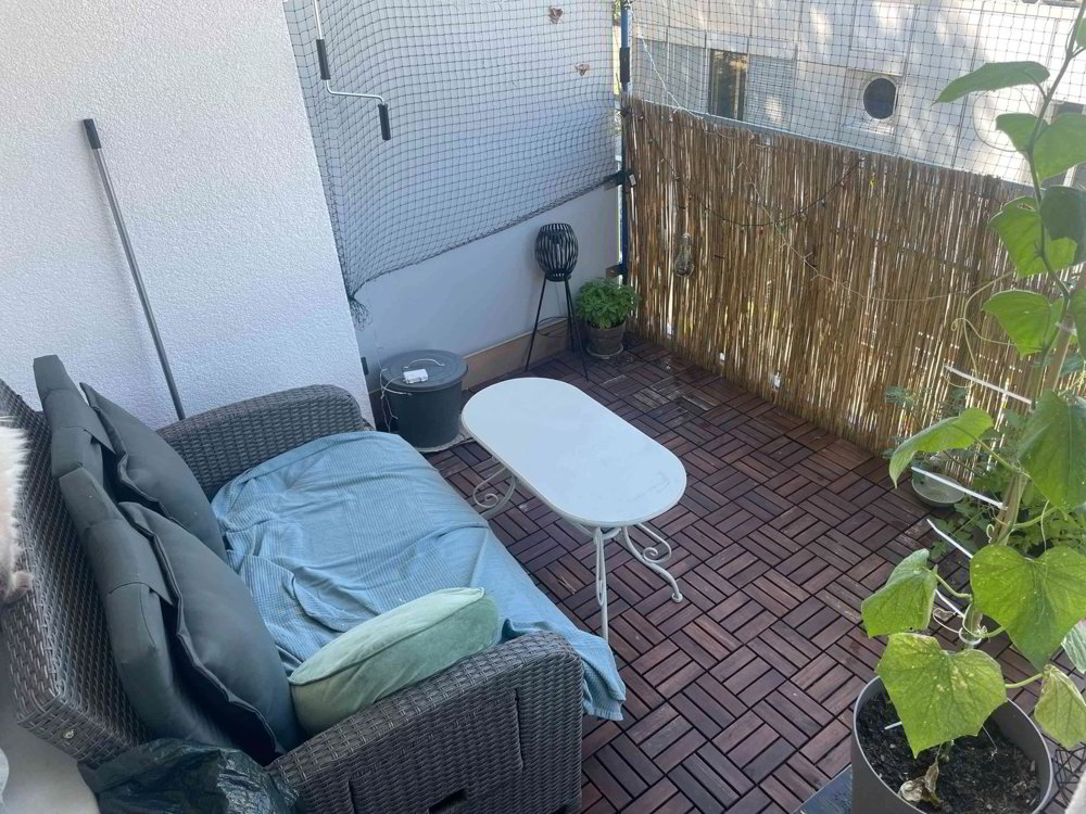 2 Zimmer Wohnung zu vermieten in Bâle - Bild 1/7