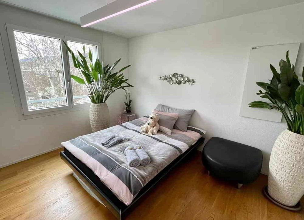 3.5 Zimmer Wohnung zu vermieten in Root - Bild 1/13