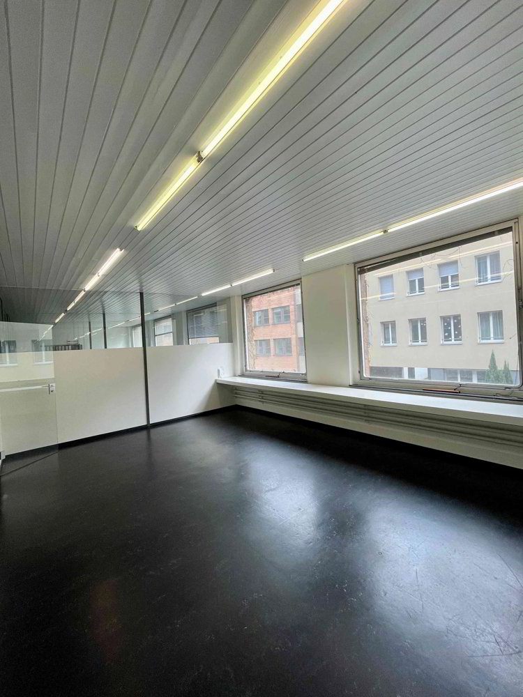 Ufficio & Commercio di 1 locali in affitto a Basel - immagine 1/7
