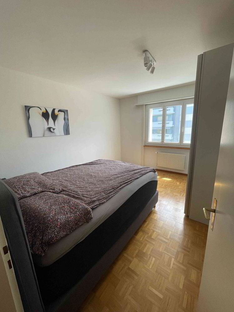 Apartment in Fribourg, Auge, Schönberg/Schoenberg - Ansicht 4