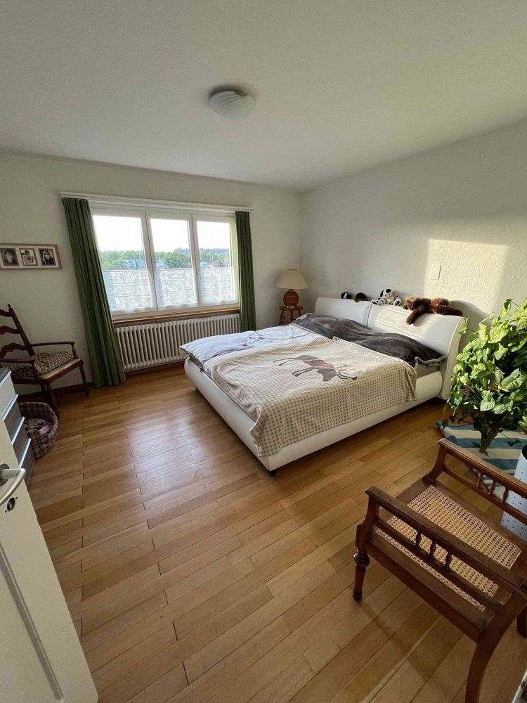 Wunderschöne 3.5-Zimmerwohnung mit Aussicht - Ansicht 2