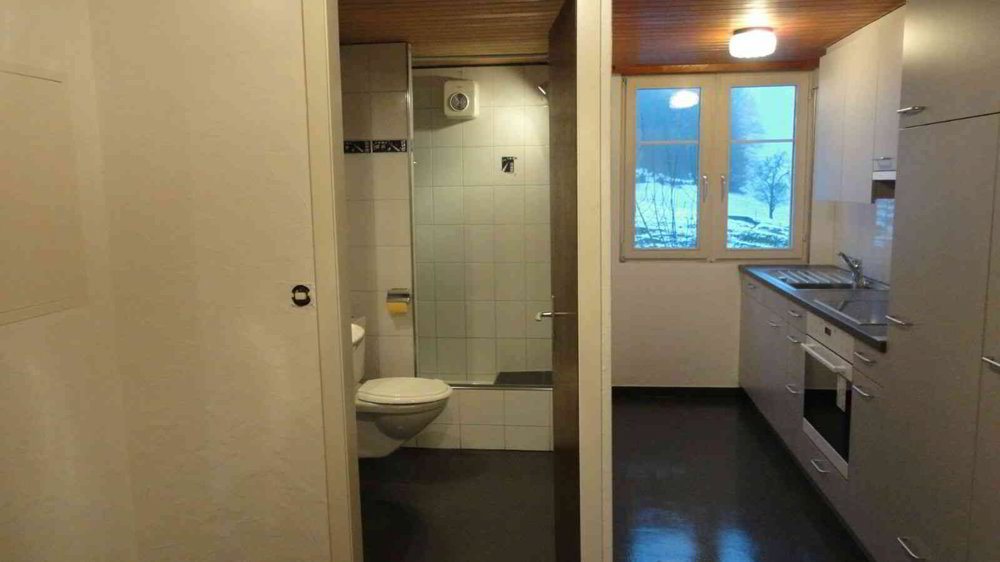 Charmante 2.5-Zimmer-Wohnung im Grünen - Ansicht 5