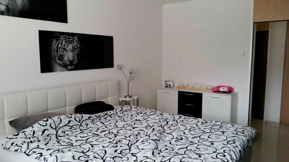 2.5 rooms Apartment for rent in Chur - image 1/13