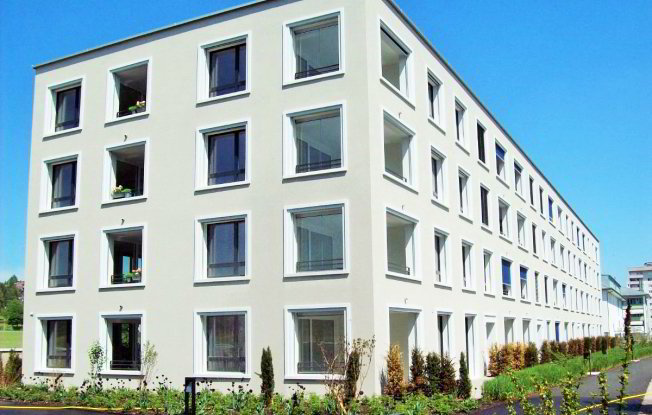 2 Zimmer Wohnung zu vermieten in Wil SG - Bild 1/1