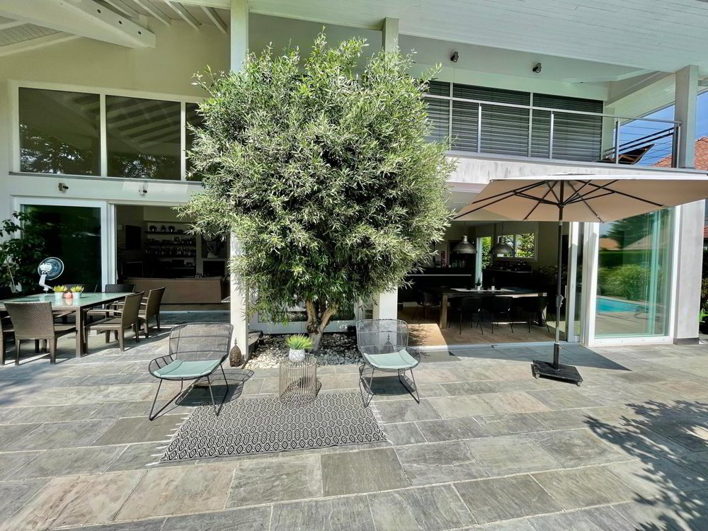 11 rooms House for rent in Coppet - image 1/10