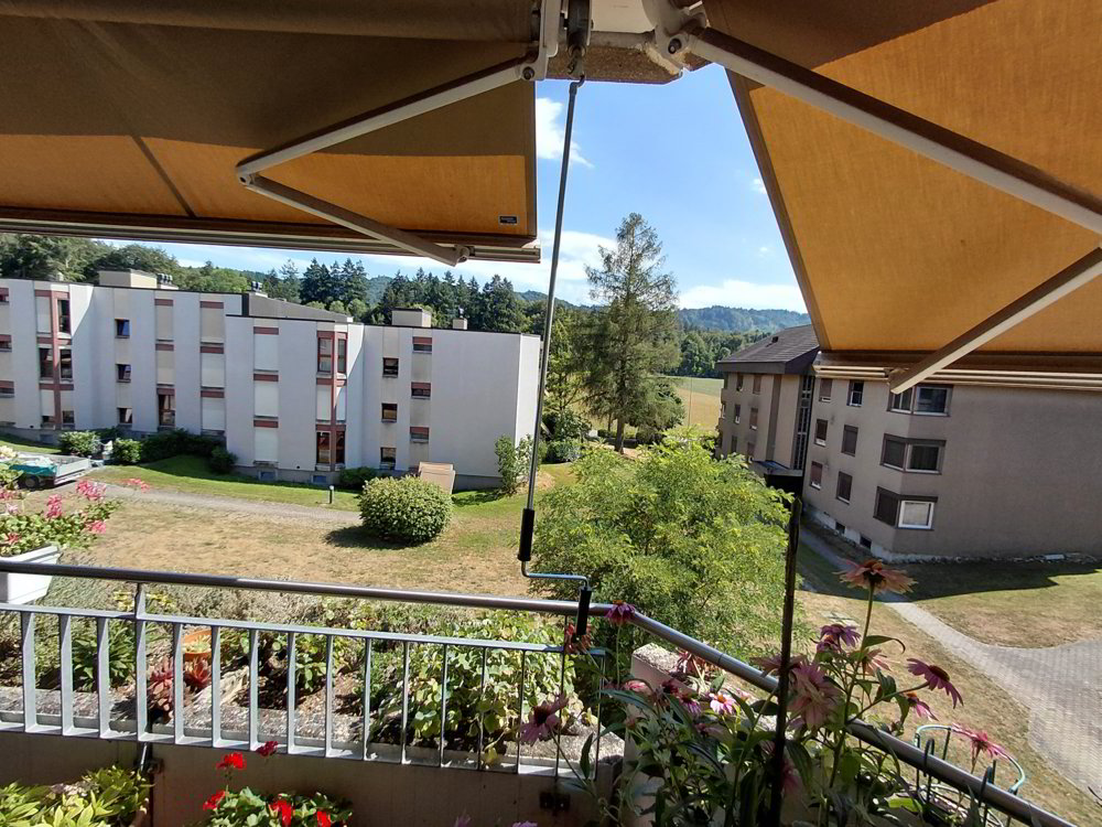 Appartamento di 2 locali in affitto a Urtenen-Schönbühl - immagine 1/6
