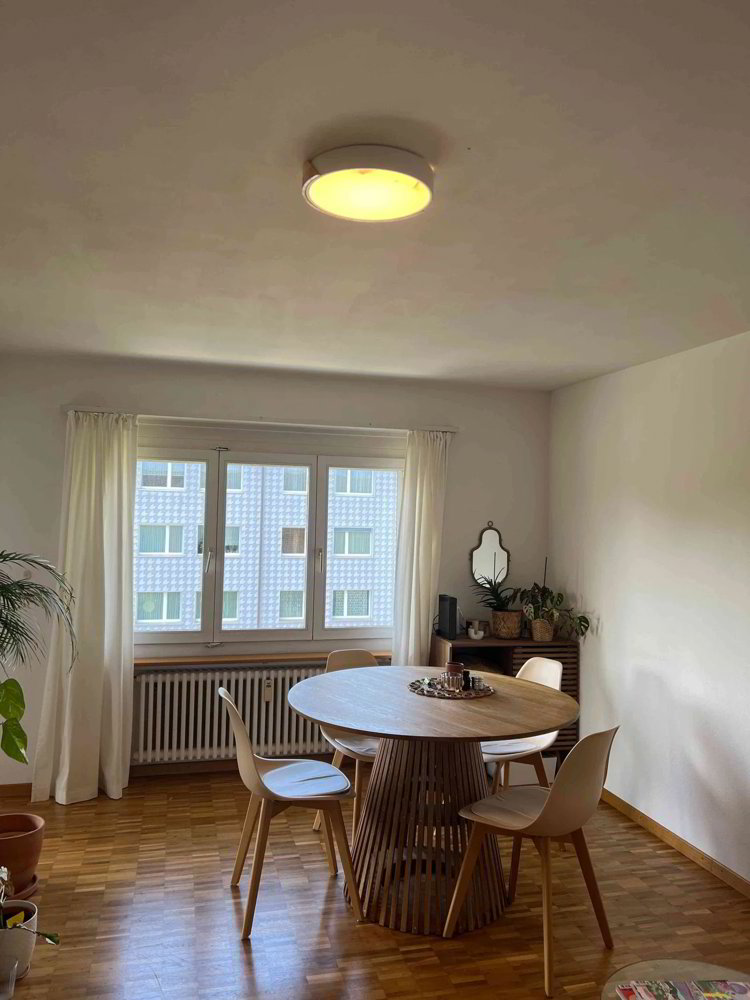3.5-Zimmer-Wohnung zur Untermiete in einer ruhigen WG ab Mitte August - Ansicht 2