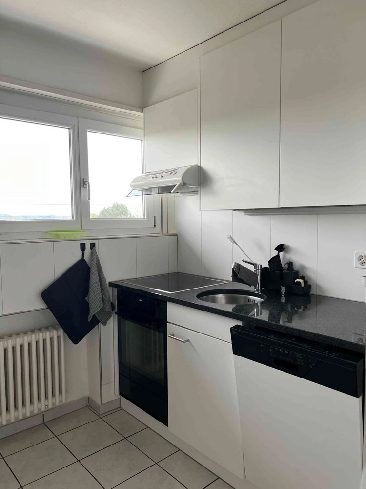 3.5-Zimmer-Wohnung zur Untermiete in einer ruhigen WG ab Mitte August - Ansicht 3