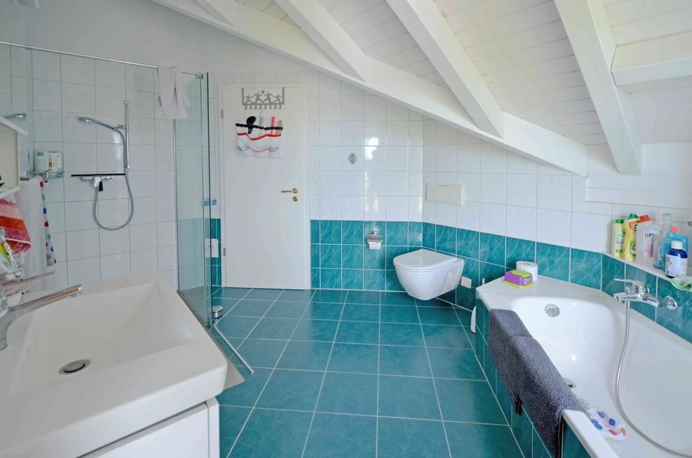 Maison 6.5 pièces à louer à Münchenstein - image 1/13