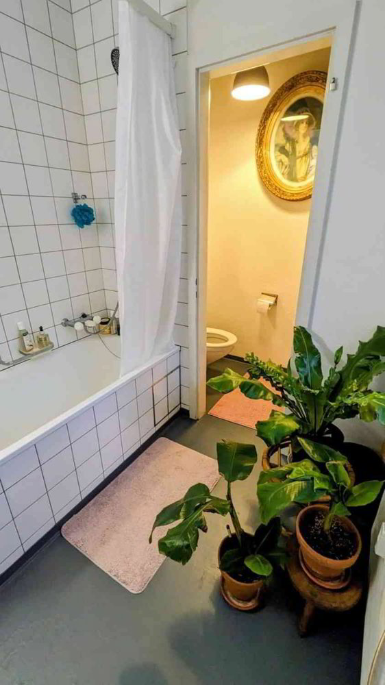 2 Zimmer Wohnung zu vermieten in Bâle - Bild 1/5