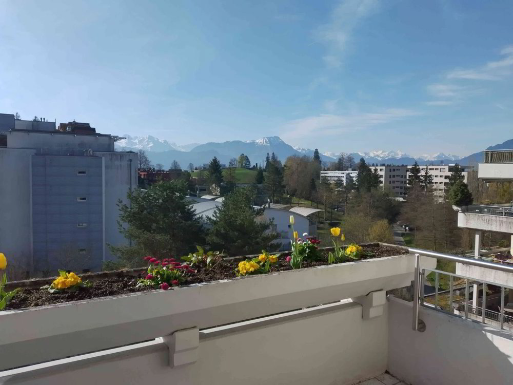 2.5 Zimmer Wohnung zu vermieten in Luzern - Bild 1/6