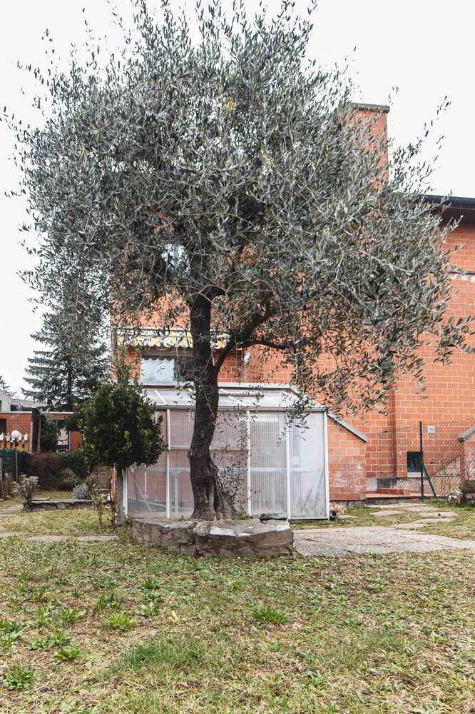 5 rooms House to buy in Chiasso - image 1/5