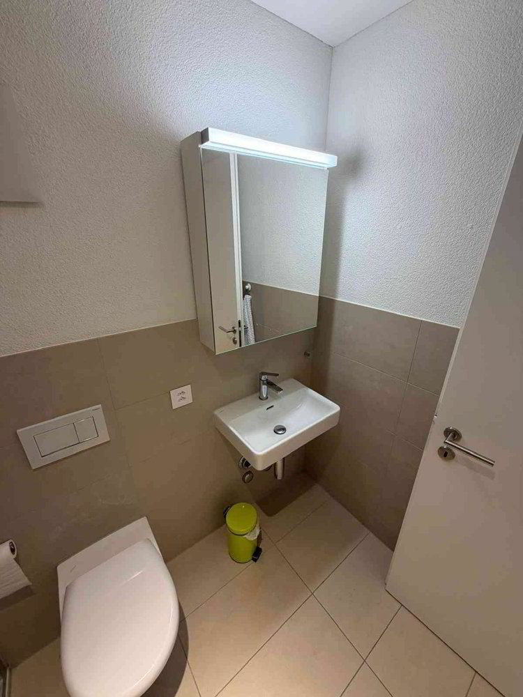 Moderne 1.5 -Zimmer-Wohnung mit grosser Sonnenterasse - Ansicht 6