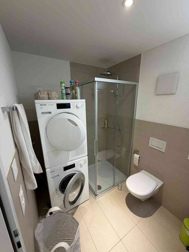 Moderne 1.5 -Zimmer-Wohnung mit grosser Sonnenterasse - Mehr