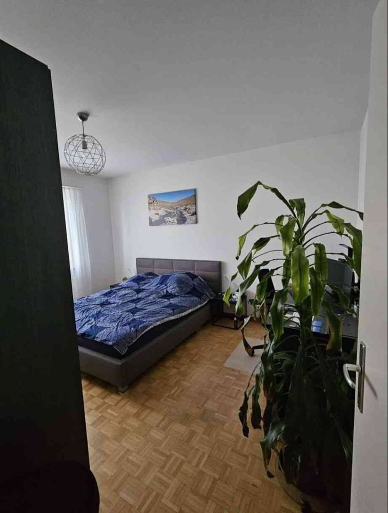 Appartamento di 2 locali in affitto a Berna - immagine 1/5