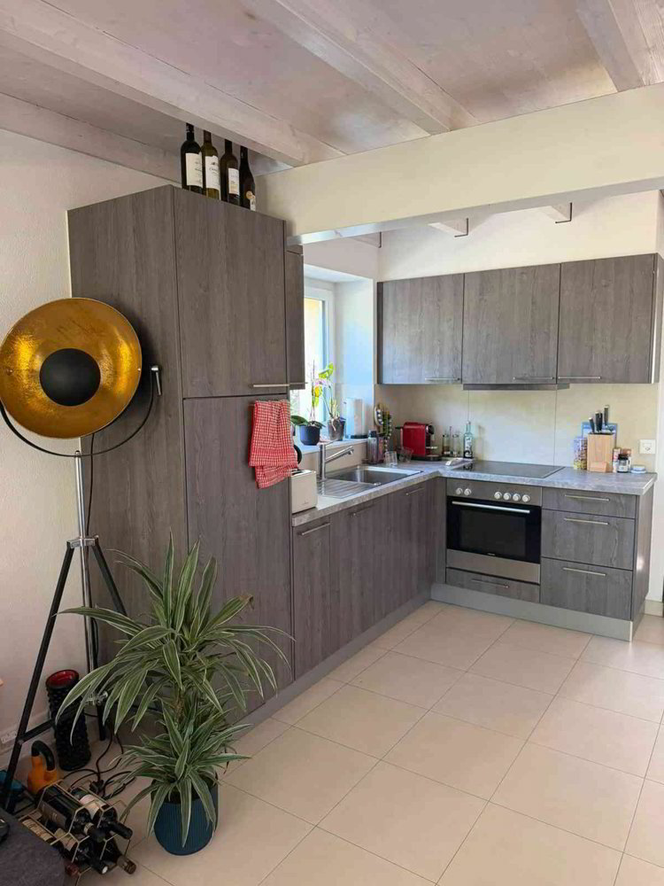 Apartment in Nyon, District de Nyon - Ansicht 3