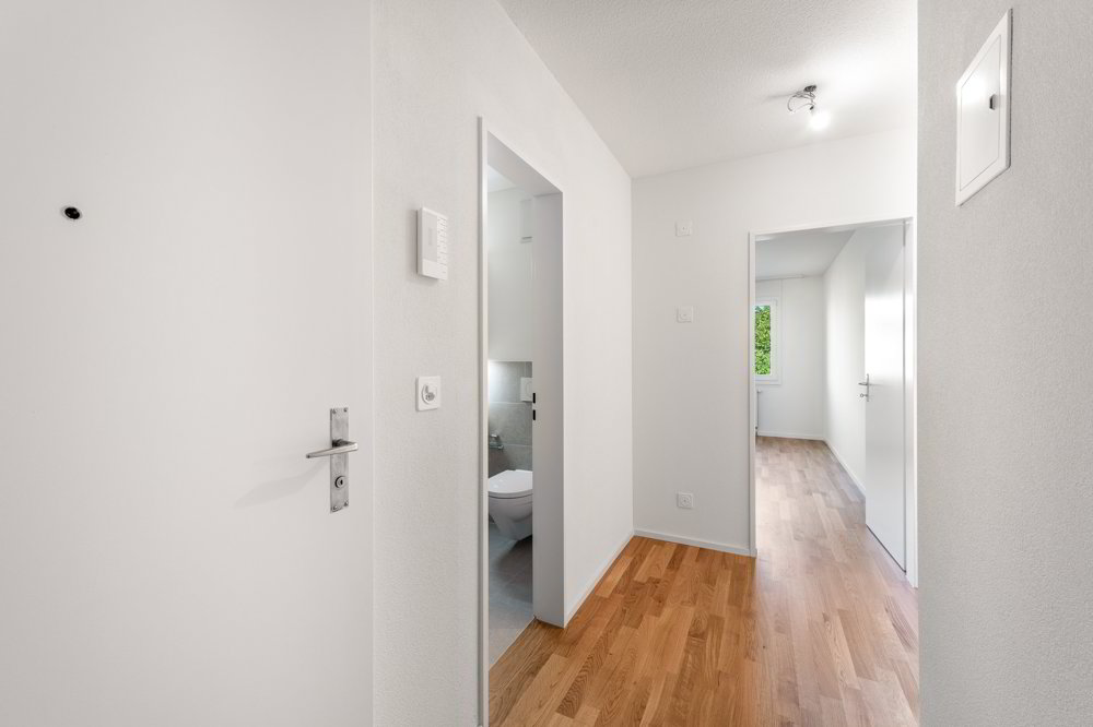 Appartement 2 pièces à louer à Schaffhouse - image 1/9