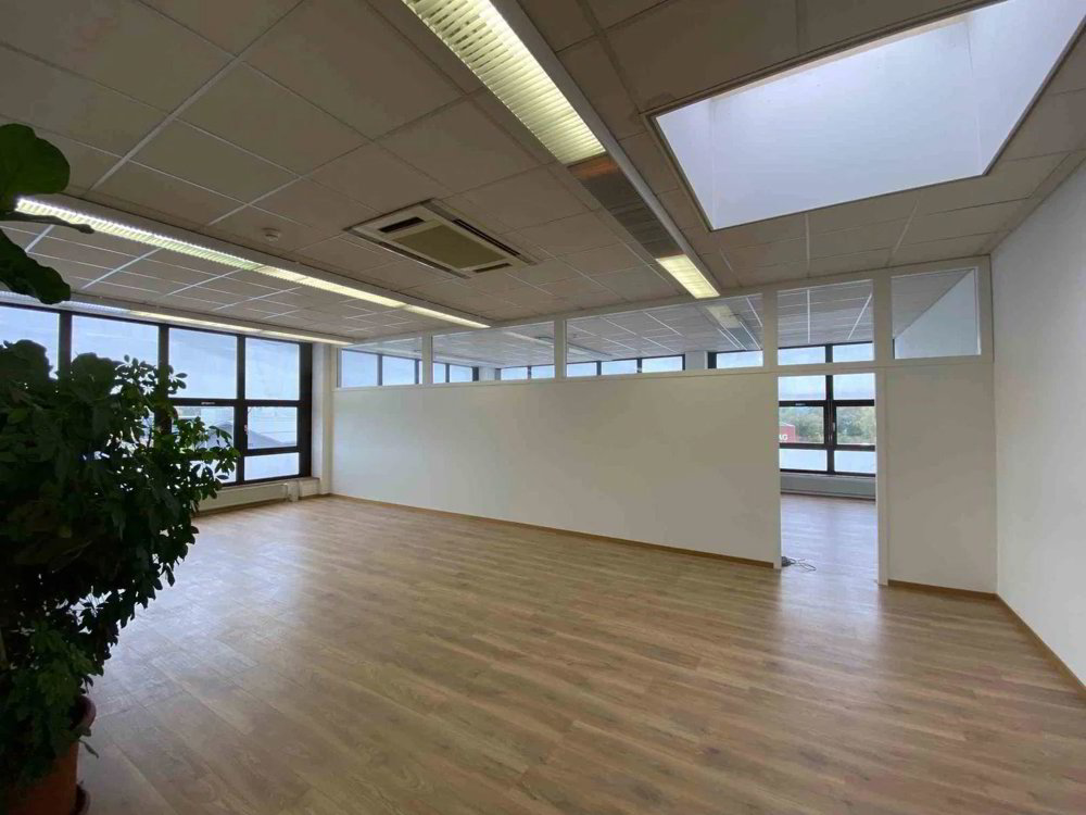 Bureau & Commerce 2.5 pièces à louer à Rheineck - image 1/13