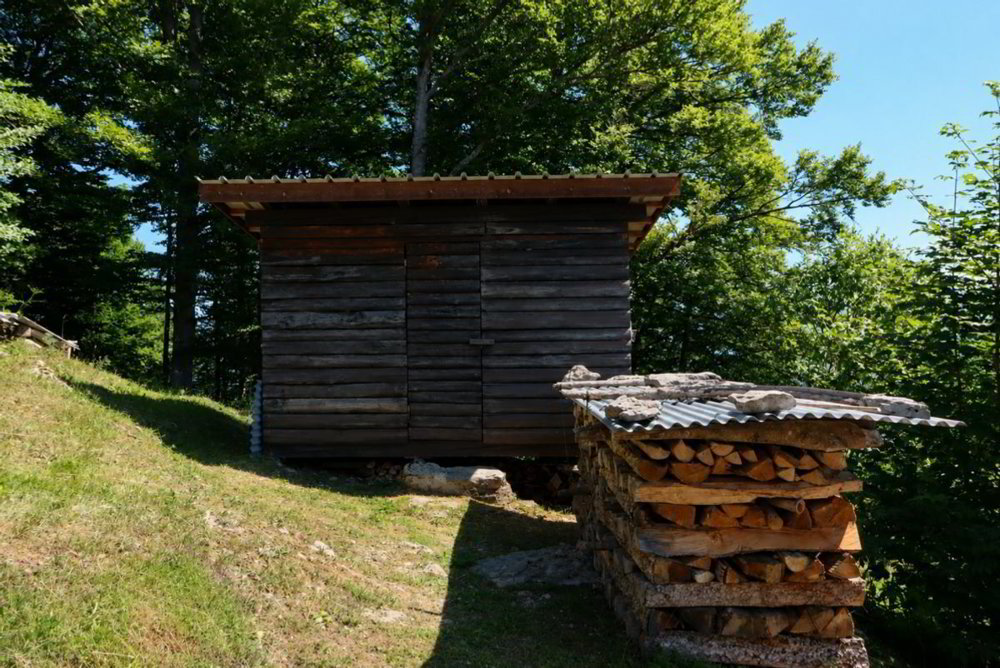Casa di 3.5 locali in vendita a Näfels - immagine 1/13