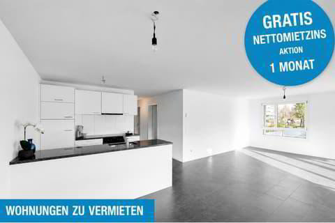 null rooms Apartment for rent in Pieterlen - image 1/1