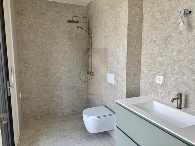 10 rooms House for rent in Collonge-Bellerive - image 1/13