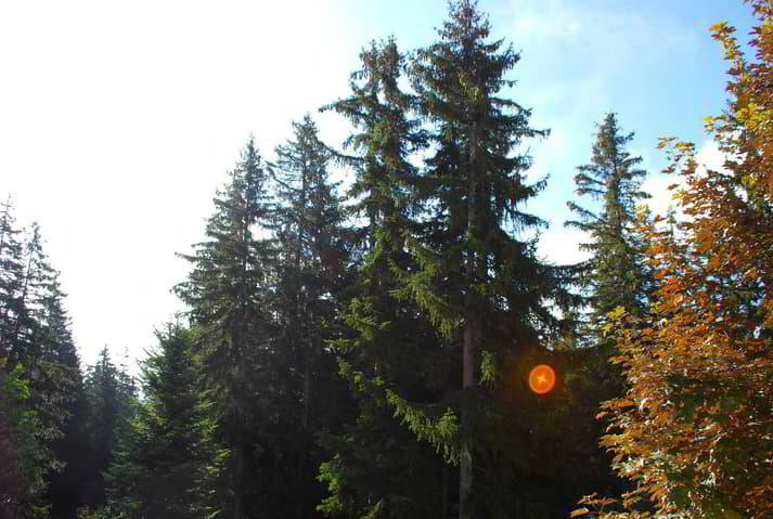 Appartement 1.5 pièces à louer à Crans-Montana - image 1/7