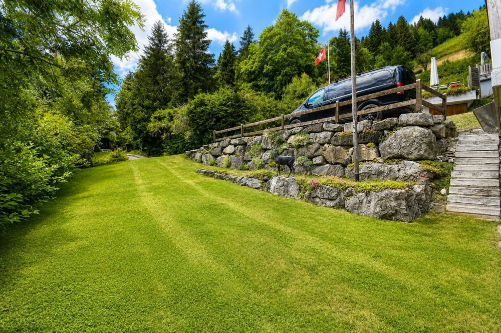 4 Zimmer Haus zum verkaufen in Morgins - Bild 1/13